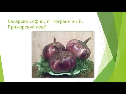 Сахарова София, п. Пограничный, Приморский край