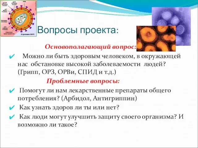 Вопросы проекта: Основополагающий вопрос: Можно ли быть здоровым человеком, в окружающей нас