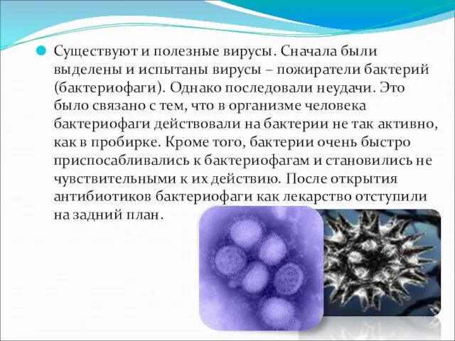 Существуют и полезные вирусы. Сначала были выделены и испытаны вирусы – пожиратели