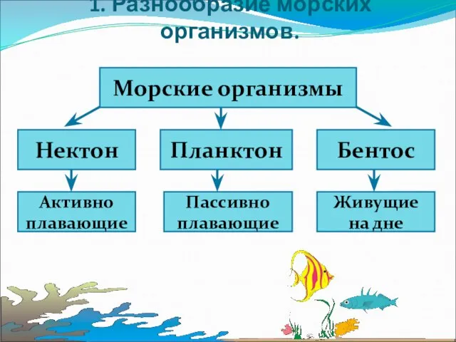 1. Разнообразие морских организмов.