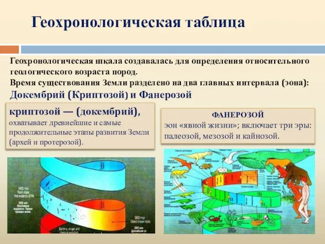 Геохронологическая шкала создавалась для определения относительного геологического возраста пород. Время существования Земли