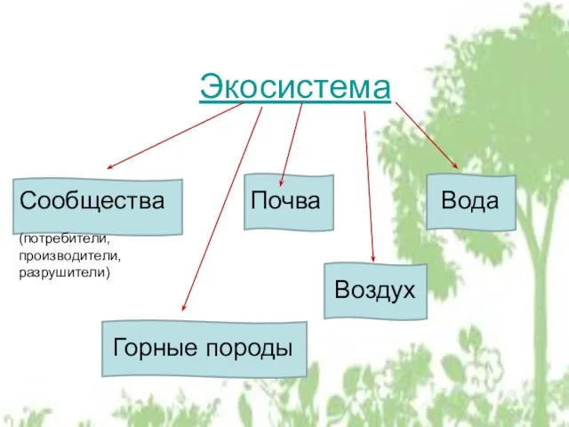 Экосистема Сообщества Почва (потребители, производители, разрушители) Горные породы Воздух Вода