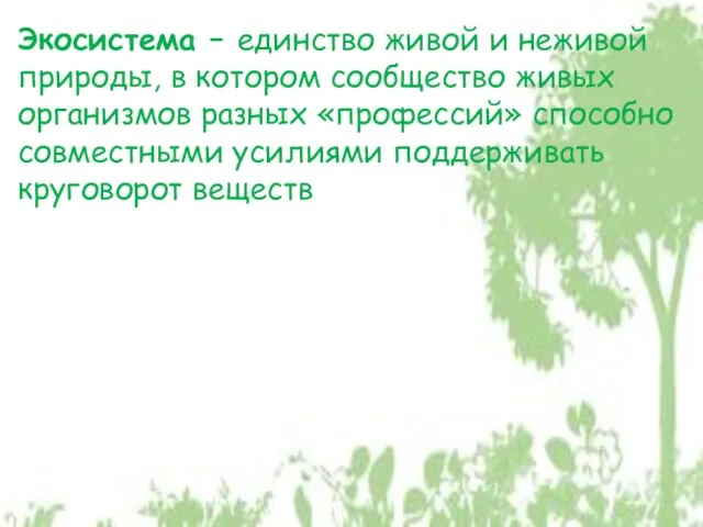 Экосистема – единство живой и неживой природы, в котором сообщество живых организмов