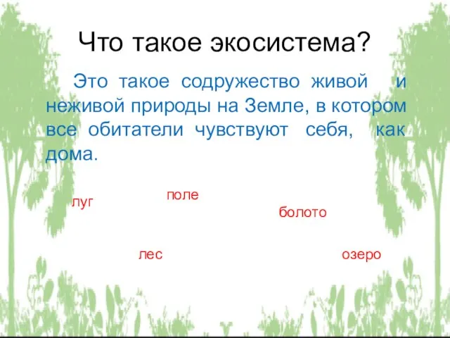 Что такое экосистема? Это такое содружество живой и неживой природы на Земле,