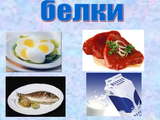 белки