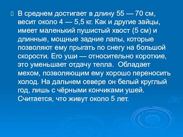 В среднем достигает в длину 55 — 70 см, весит около 4