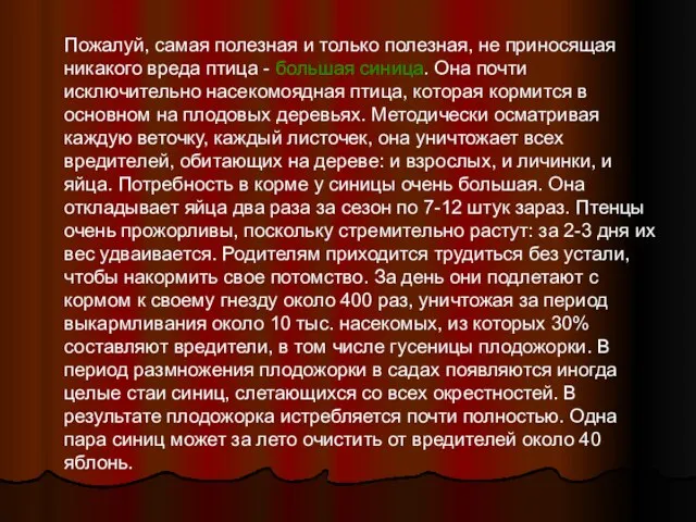 Синица Пожалуй, самая полезная и только полезная, не приносящая никакого вреда птица