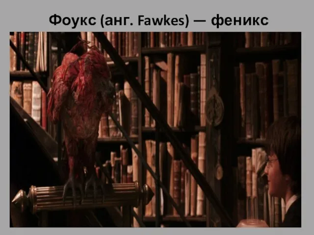 Фоукс (анг. Fawkes) — феникс Фоукс (анг. Fawkes) — феникс, «домашнее животное»