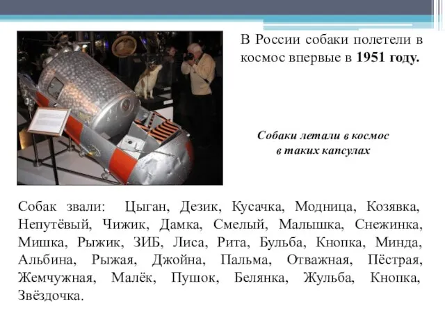 Собак звали: Цыган, Дезик, Кусачка, Модница, Козявка, Непутёвый, Чижик, Дамка, Смелый, Малышка,