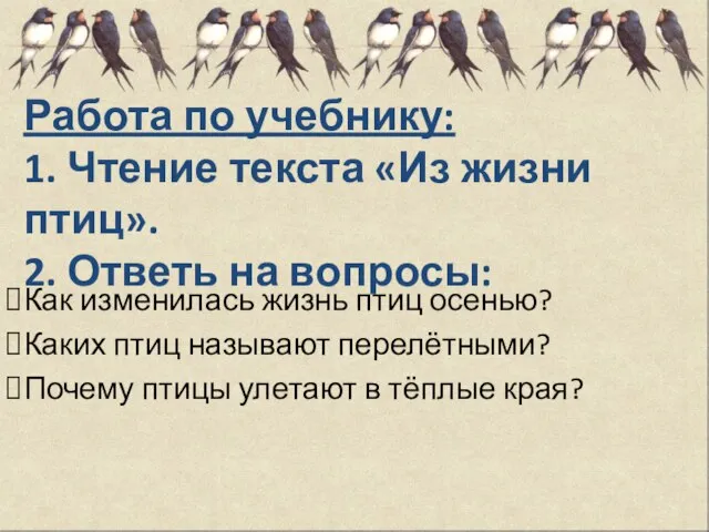 Работа по учебнику: 1. Чтение текста «Из жизни птиц». 2. Ответь на