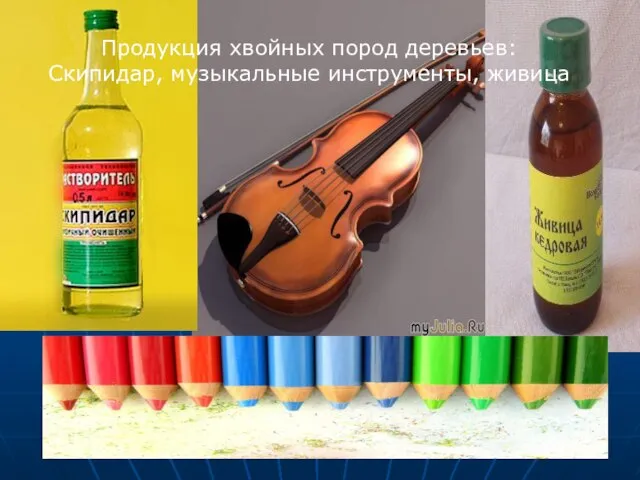 Продукция хвойных пород деревьев: Скипидар, музыкальные инструменты, живица