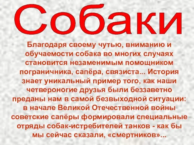 Собаки Благодаря своему чутью, вниманию и обучаемости собака во многих случаях становится