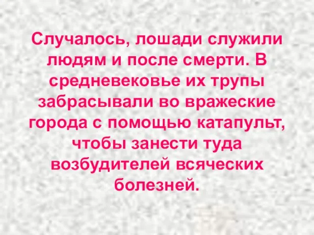 Случалось, лошади служили людям и после смерти. В средневековье их трупы забрасывали