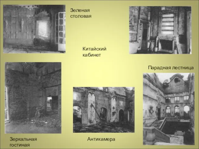 Зеленая столовая Китайский кабинет Зеркальная гостиная Парадная лестница Антикамера