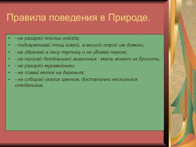 Правила поведения в Природе. - не разоряй птичьи гнёзда; - подкармливай птиц