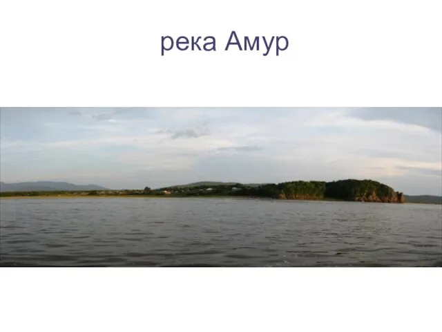 река Амур