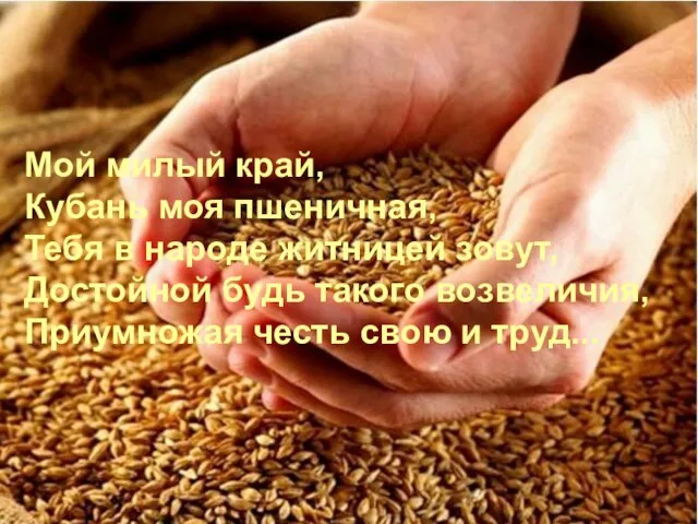 Мой милый край, Кубань моя пшеничная, Тебя в народе житницей зовут, Достойной