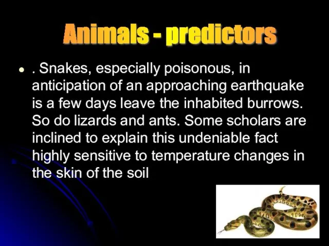 . Snakes, especially poisonous, in anticipation of an approaching earthquake is a