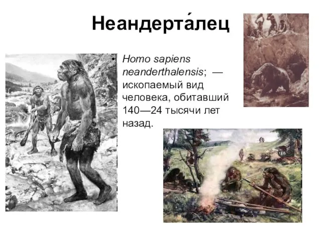Неандерта́лец Homo sapiens neanderthalensis; — ископаемый вид человека, обитавший 140—24 тысячи лет назад.