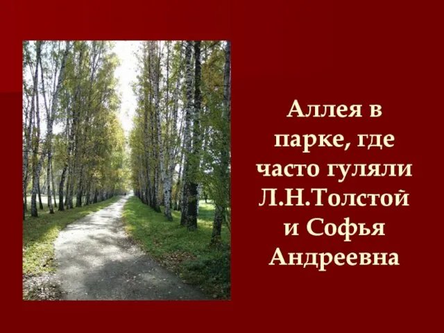 Аллея в парке, где часто гуляли Л.Н.Толстой и Софья Андреевна