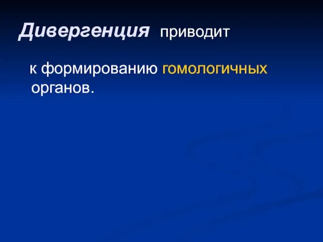 Дивергенция приводит к формированию гомологичных органов.