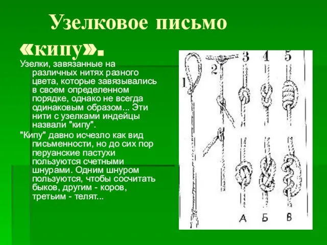 Узелковое письмо «кипу». Узелки, завязанные на различных нитях разного цвета, которые завязывались