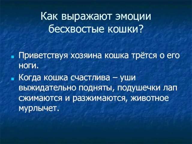 Как выражают эмоции бесхвостые кошки? Приветствуя хозяина кошка трётся о его ноги.