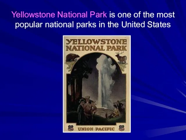 Yellowstone National Park is one of the most popular national parks in the United States