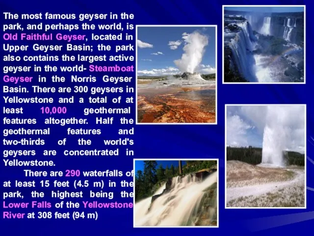 The most famous geyser in the park, and perhaps the world, is