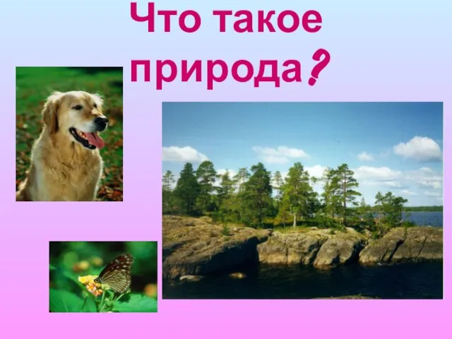 Что такое природа?