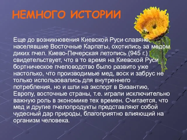 Еще до возникновения Киевской Руси славяне, населявшие Восточные Карпаты, охотились за медом