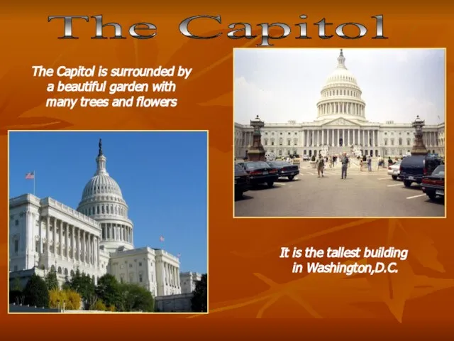 The Capitol It is the tallest building in Washington,D.C. The Capitol is