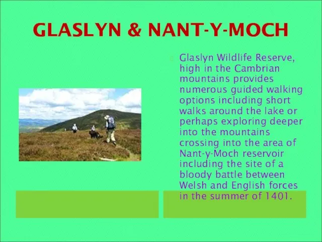 GLASLYN & NANT-Y-MOCH Glaslyn Wildlife Reserve, high in the Cambrian mountains provides