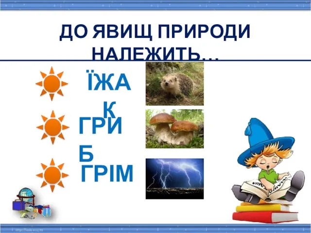 ДО ЯВИЩ ПРИРОДИ НАЛЕЖИТЬ… їжак гриб грім