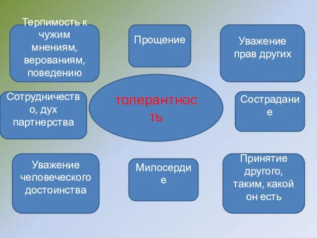 толерантность Терпимость к чужим мнениям, верованиям, поведению Прощение Уважение прав других Сострадание