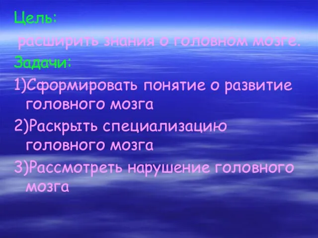 Цель: расширить знания о головном мозге. Задачи: 1)Сформировать понятие о развитие головного