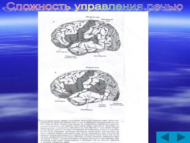 Сложность управления речью