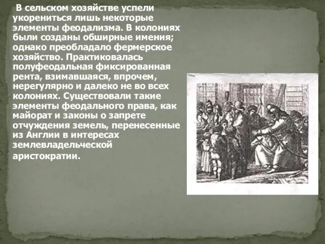 В сельском хозяйстве успели укорениться лишь некоторые элементы феодализма. В колониях были