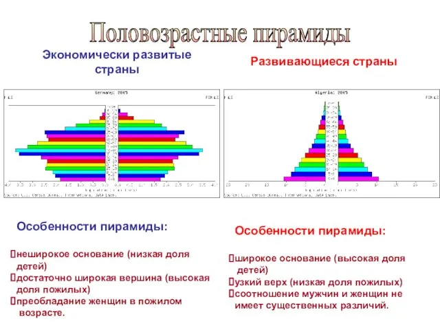 Экономически развитые страны Развивающиеся страны Особенности пирамиды: неширокое основание (низкая доля детей)