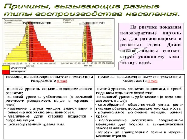 Причины, вызывающие разные типы воспроизводства населения. На рисунке показаны половозрастные пирами-ды для