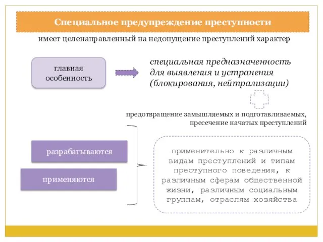 Специальное предупреждение преступности имеет целенаправленный на недопущение преступлений характер главная особенность специальная