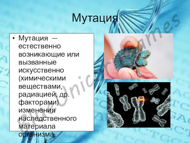 Мутация Мутация — естественно возникающие или вызванные искусственно (химическими веществами, радиацией, др.