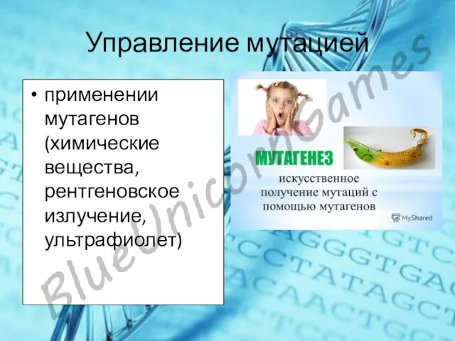 Управление мутацией применении мутагенов (химические вещества, рентгеновское излучение, ультрафиолет)