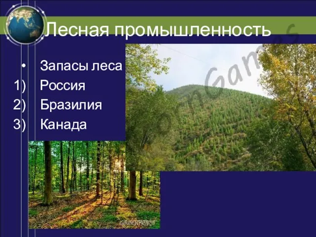 Лесная промышленность Запасы леса Россия Бразилия Канада
