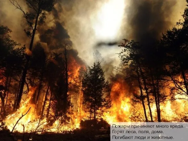 Пожары причиняют много вреда. Горят леса, поля, дома. Погибают люди и животные.
