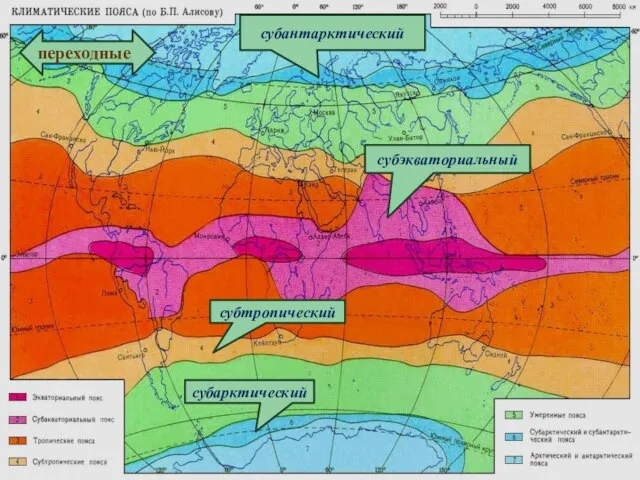 субтропический субэкваториальный субарктический переходные субантарктический