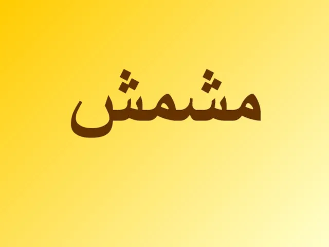 مشمش