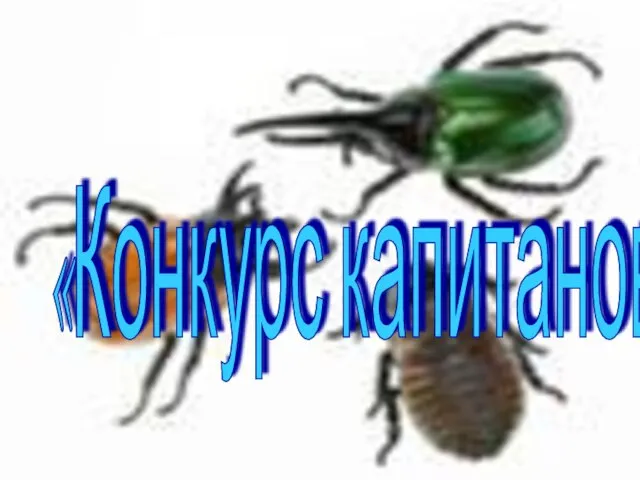 «Конкурс капитанов»