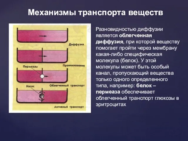 Механизмы транспорта веществ Разновидностью диффузии является облегченная диффузия, при которой веществу помогает