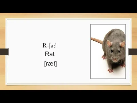 R-[a:] Rat [ræt]